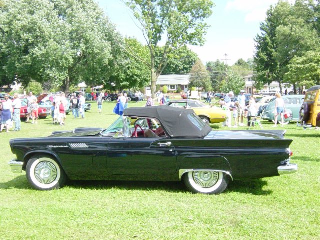 transpixel classicblackfordthunderbird